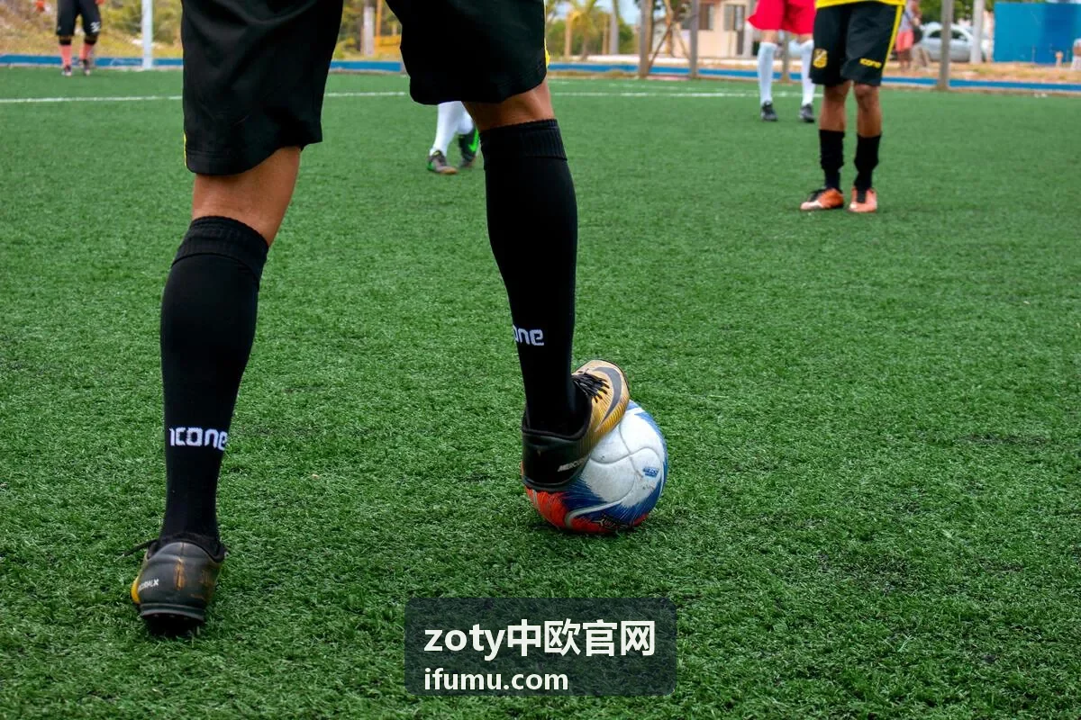 zoty中欧官网欧洲展会与选品条目封面